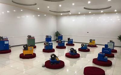 China Shanghai Fanying Machinery Technology Co., Ltd. Company Profile