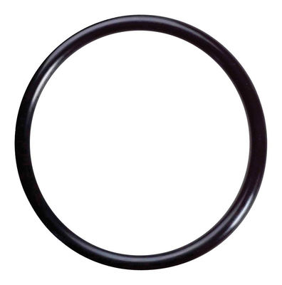 Different Colour Rubber O Rings C/S Depend On Client Demand Sample Freight Collect
